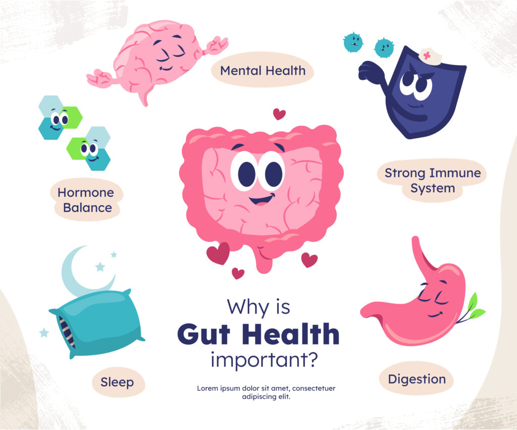Gut Health: Why Your Digestive System is the Gateway to Total Wellness